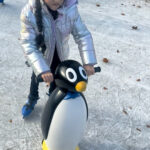 a.i.DankbaarVoorSchaatsen